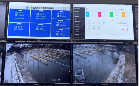 花都區 科技興漁啟新程，人工智能與“芯片魚”引領智慧漁業探索